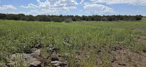 tbd Cr 8026, Concho, AZ 85924