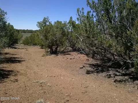tbd Cr 8026, Concho, AZ 85924
