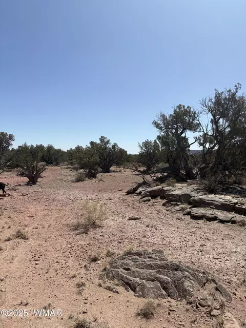 8580 Lawson Ln, Snowflake, AZ 85937