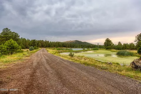 Other - 129 N1340, Springerville, AZ 85938 photo 21 of 21