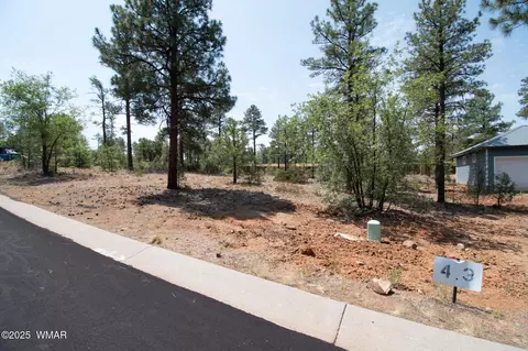 381 E Huckleberry Ln, Show Low, AZ 85901