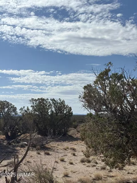 8580 D Lawson Ln, Snowflake, AZ 85937