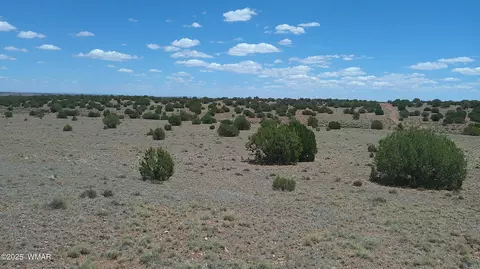 tbd Ranch Of The White Mtns, Concho, AZ 85924