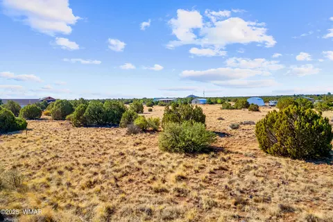 8487 Alpine Pl, Show Low, AZ 85901
