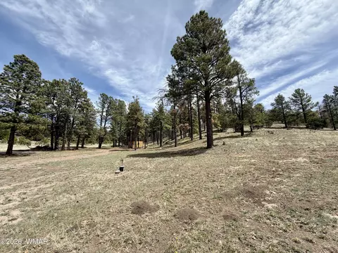 tbd County Road N2276, Nutrioso, AZ 85932