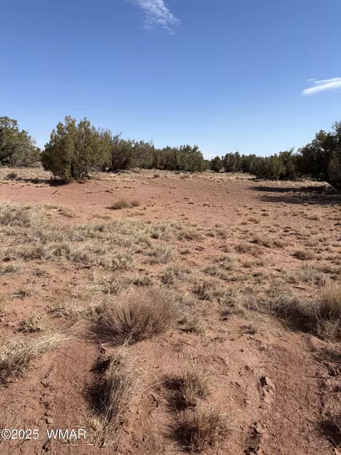 8580 Lawson Ln # E, Snowflake, AZ 85937 photo 6
