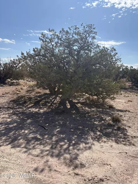 8580 Lawson Ln # E, Snowflake, AZ 85937 photo 3