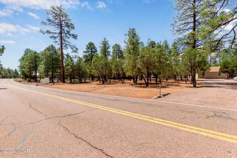 2884 Pine Rim Rd, Overgaard, AZ 85933