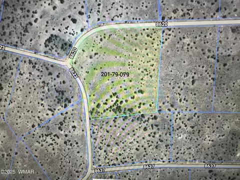 20 County Rd, Concho, AZ 85924