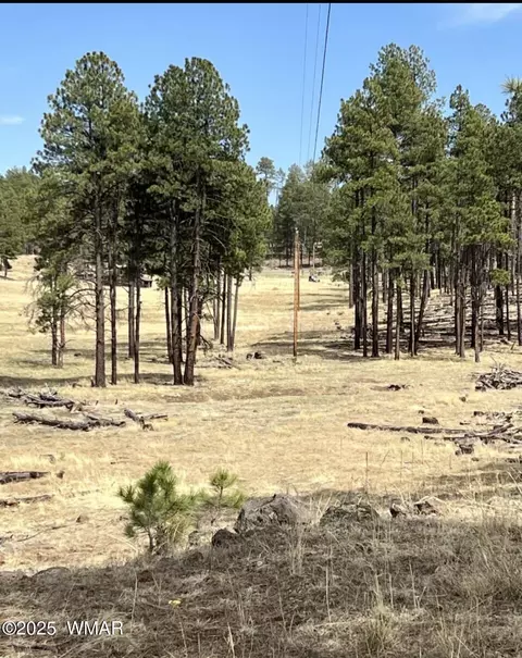 lot E Forest Road 26, Alpine, AZ 85920