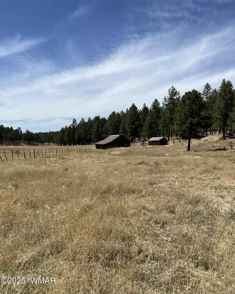 lot B Forest Road 26, Alpine, AZ 85920