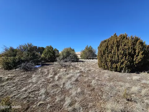 1968 Ridgeway Rd, Show Low, AZ 85901