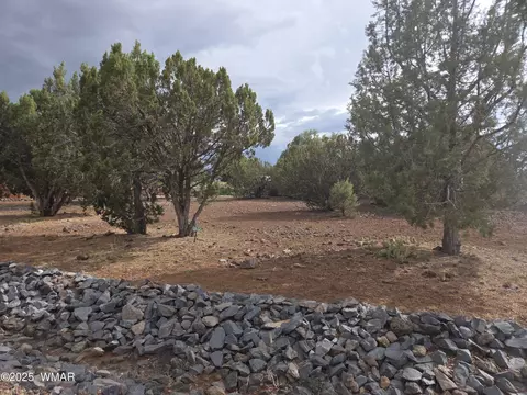 1936 Passage Dr #39, Show Low, AZ 85901