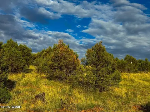 tbd Flake Rd Lots L P 254 Acres, Overgaard, AZ 85933 photo 27