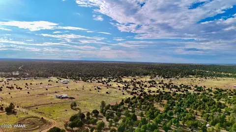 tbd Flake Rd Lots L P 254 Acres, Overgaard, AZ 85933 photo 18