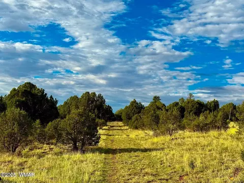 tbd Flake Rd Lots L P 254 Acres, Overgaard, AZ 85933 photo 12