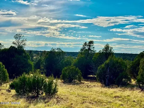 tbd Flake Rd Lots L P 254 Acres, Overgaard, AZ 85933 photo 3