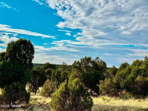 tbd Flake Rd Lots L P 254 Acres, Overgaard, AZ 85933 photo 7