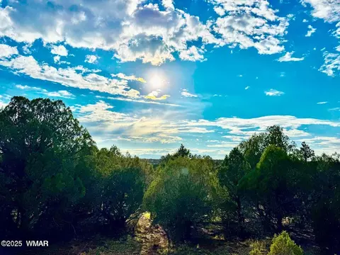 tbd Flake Rd Lots L P 254 Acres, Overgaard, AZ 85933 photo 8