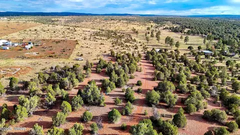 tbd Flake Rd Lots L P 254 Acres, Overgaard, AZ 85933 photo 22