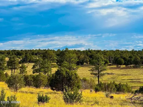 tbd Flake Rd Lots L P 254 Acres, Overgaard, AZ 85933 photo 2