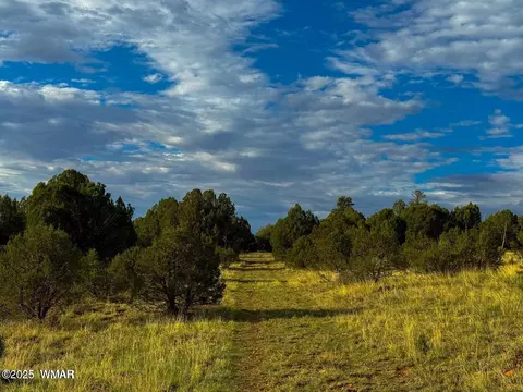 tbd Flake Rd Lots L P 254 Acres, Overgaard, AZ 85933 photo 26