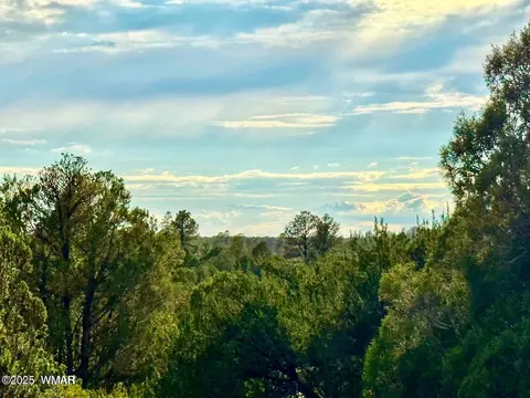 tbd Flake Rd Lots L P 254 Acres, Overgaard, AZ 85933 photo 6