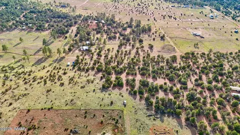 tbd Flake Rd Lots L P 254 Acres, Overgaard, AZ 85933 photo 20