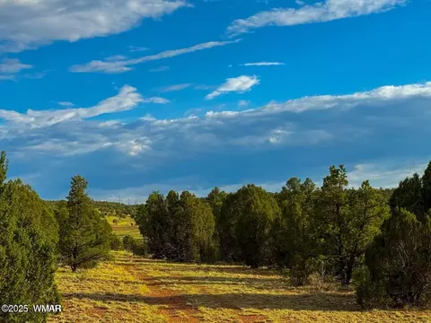 tbd Flake Rd Lots L P 254 Acres, Overgaard, AZ 85933 photo 25