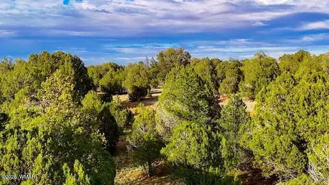 tbd Flake Rd Lots L P 254 Acres, Overgaard, AZ 85933 photo 14