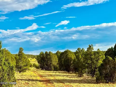tbd Flake Rd Lots L P 254 Acres, Overgaard, AZ 85933 photo 9