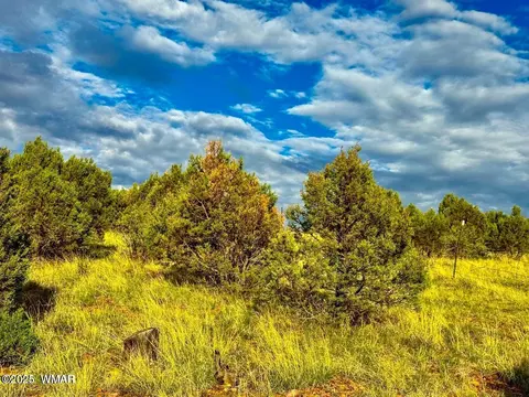 tbd Flake Rd Lots L P 254 Acres, Overgaard, AZ 85933 photo 11