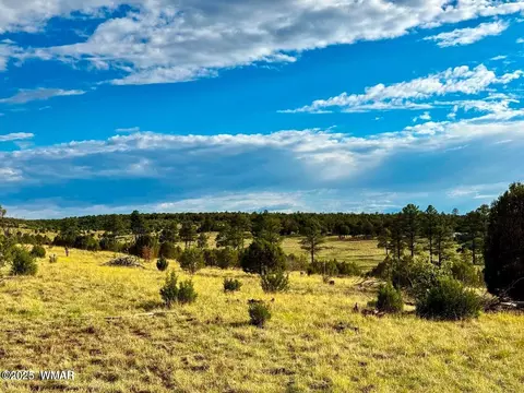 tbd Flake Rd Lots L P 254 Acres, Overgaard, AZ 85933 photo 28
