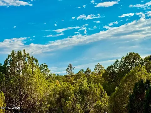 tbd Flake Rd Lots L P 254 Acres, Overgaard, AZ 85933 photo 10