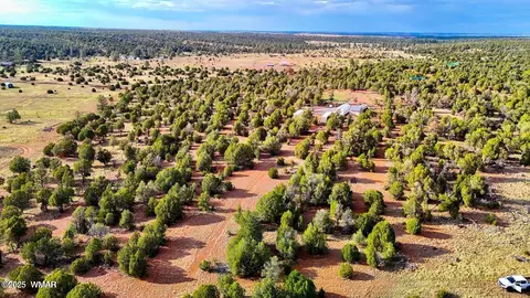 tbd Flake Rd Lots L P 254 Acres, Overgaard, AZ 85933 photo 5