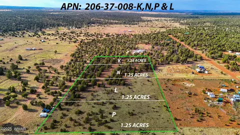 tbd Flake Rd Lots L P 254 Acres, Overgaard, AZ 85933 photo 4