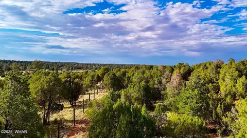 tbd Flake Rd Lots L P 254 Acres, Overgaard, AZ 85933 photo 17