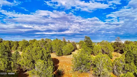 tbd Flake Rd Lots L P 254 Acres, Overgaard, AZ 85933 photo 15