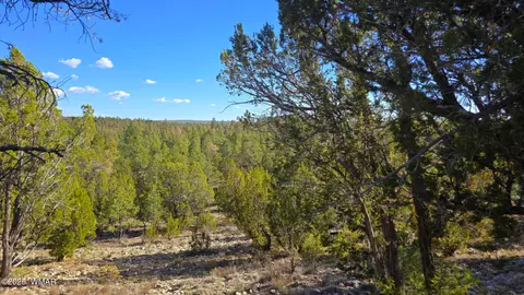 2947 E Lookout Ln, Overgaard, AZ 85933