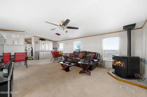 22 Ranch Rd, Concho, AZ 85924 photo 17