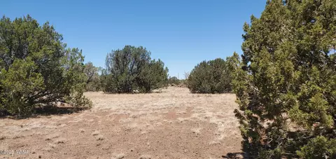 tbd High Plains Rd, Show Low, AZ 85901