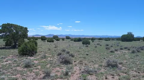 tbd Windsor Valley Rnch #LOT 87, Concho Valley, AZ 85924