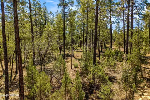 tbd S Hart Lake Ln, Lakeside, AZ 85929
