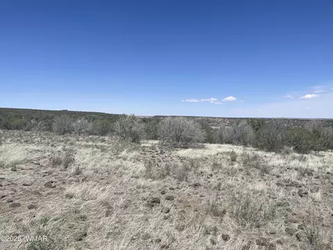 7636 Hamline Dr, White Mountain Lake, AZ 85912