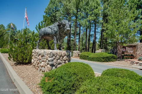 4696 W Tatanka Loop, Show Low, AZ 85901