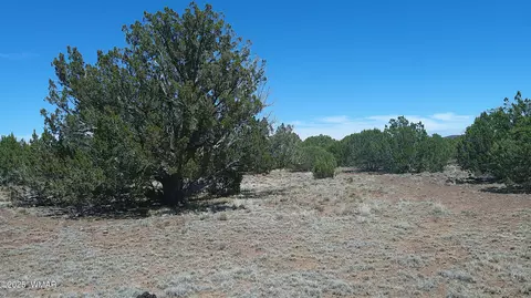 tbd Show Low 40ac, Show Low, AZ 85901