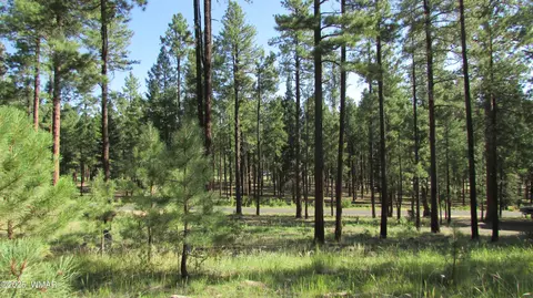 8 County Road 2194, Alpine, AZ 85920