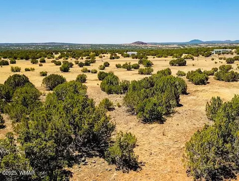 8692 Supancheck Rd, Show Low, AZ 85901