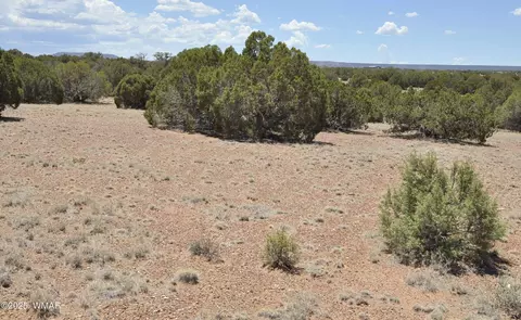 9188 N 5270, Concho, AZ 85924