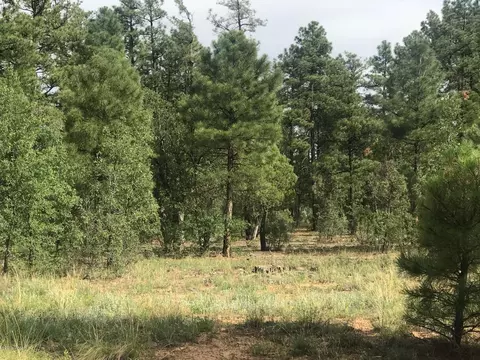 1751-1781 W Deuce Of Clubs, Show Low, AZ 85901